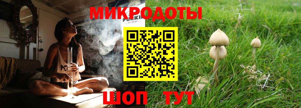 Галлюциногенные грибы Psilocybine cubensis  Вход с VPN  Миллерово 