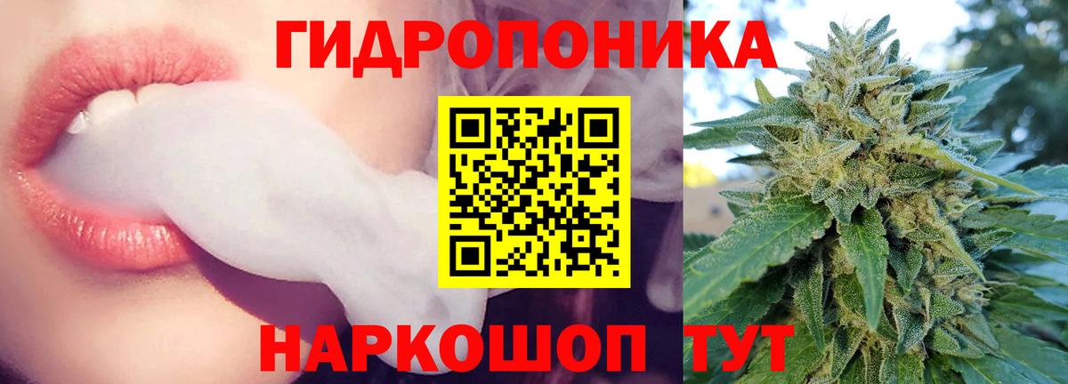 Конопля OG Kush Миллерово